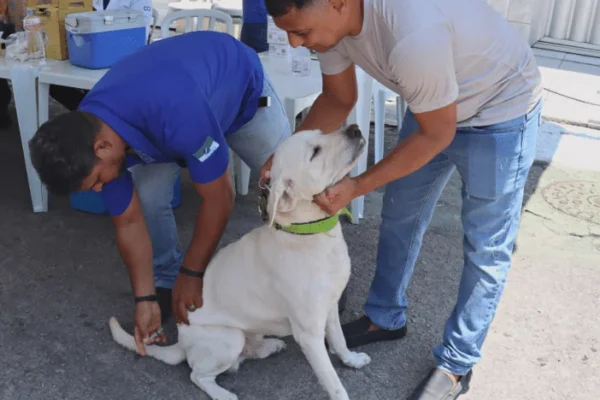 Vacinação antirrábica segue em Natal neste sábado 9; veja onde vacinar