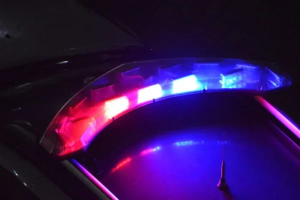 Pitbulls são mortos a tiros após confusão em São Gonçalo do Amarante
